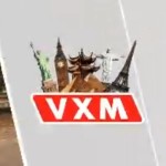 VxM 4